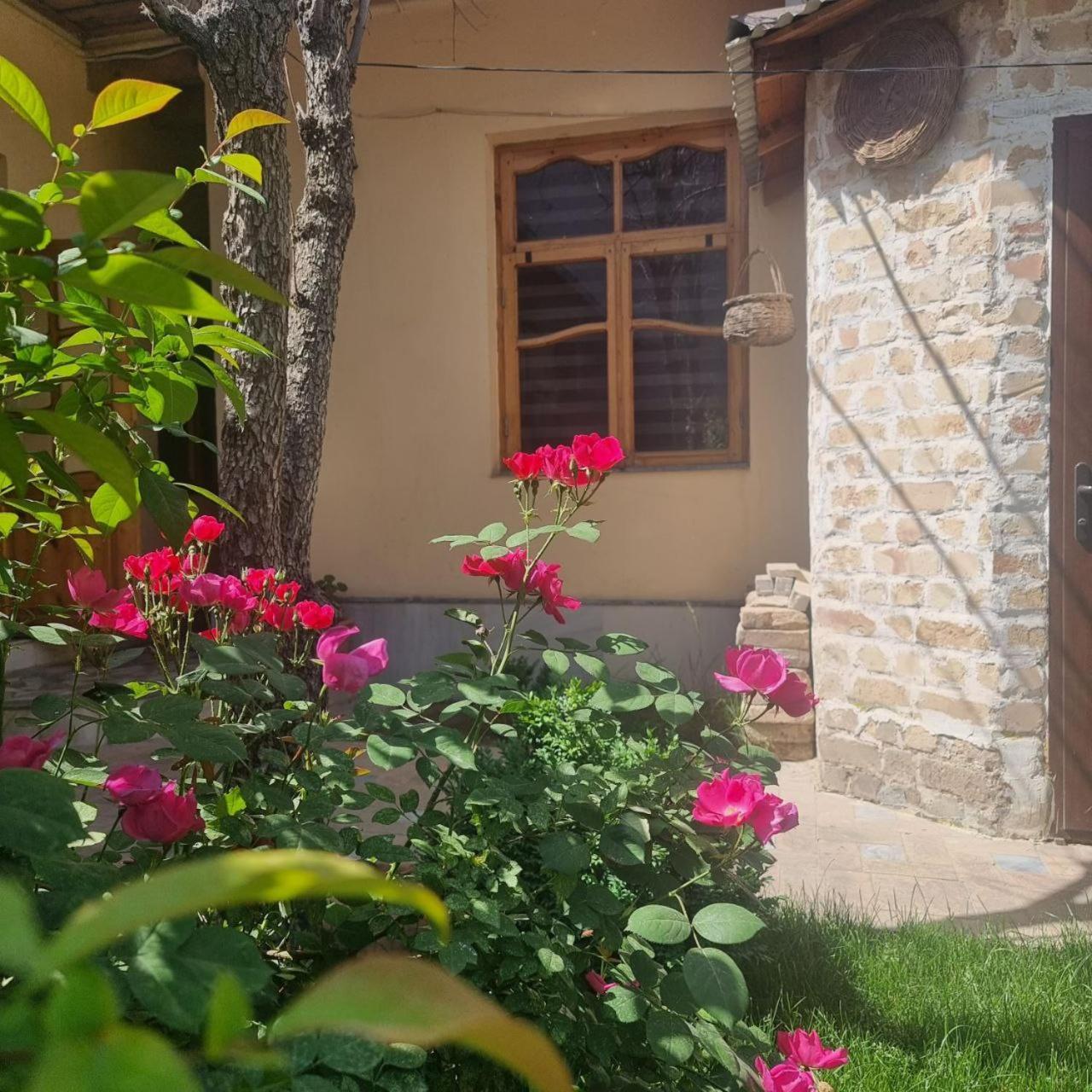Sim-Sim Hostel & Backpackers Szamarkand Kültér fotó
