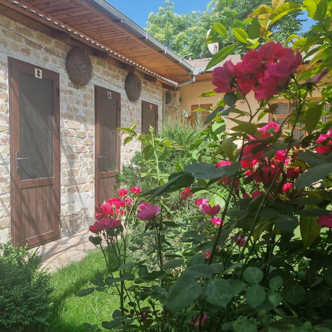 Sim-Sim Hostel & Backpackers Szamarkand Kültér fotó